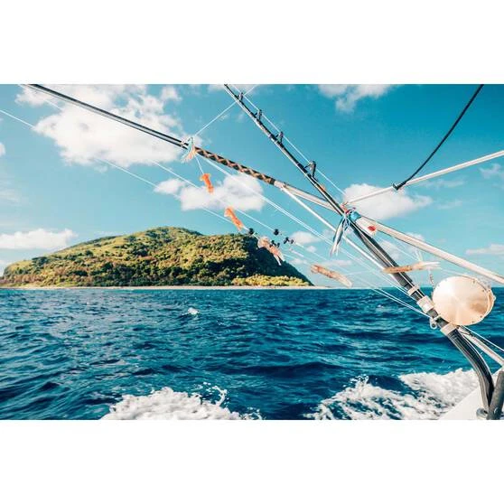 Shimano Tiagra TI 50W Overhead Reel 4 Shimano Tiagra TI 50W Overhead Reel - Image 2