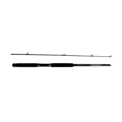 Surecatch Bigfield Spinning Rod 9ft 2 Piece