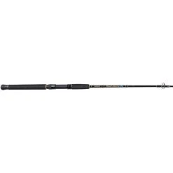 Shimano Beastmaster Spinning Rod