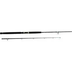 Shimano Triton Spinning Rod