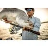 Shimano Zodias Spinning Rod 2 Shimano Zodias Spinning Rod -Shimano shop BCF 593164 00 hi res