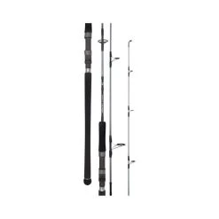 Daiwa 20 TD Saltwater Spinning Rod