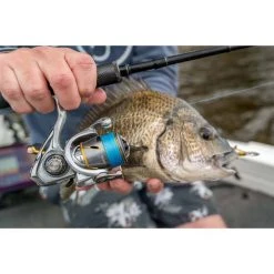 Daiwa Freams LT Spinning Reel 5000-CXH 13 Daiwa Freams LT Spinning Reel 5000-CXH -Shimano shop BCF 613018 02 hi res