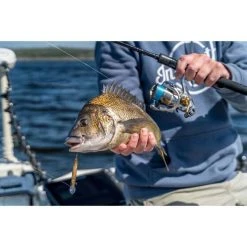 Daiwa Freams LT Spinning Reel 5000-CXH 17 Daiwa Freams LT Spinning Reel 5000-CXH -Shimano shop BCF 613018 06 hi res