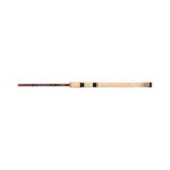Shimano Raider EGI Spinning Rod