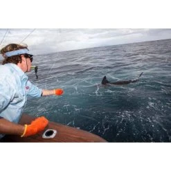 Penn International 30VISW Overhead Reel -Shimano shop BCF 622401 03 hi res